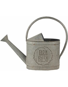 Decoration watering can gray 45x16x33 cm 6Y4249