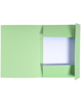 Exacompta file folder labelling field 3 flaps DIN A4 Forever poison green