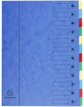 Folder 12-piece A4 Harmonica blue