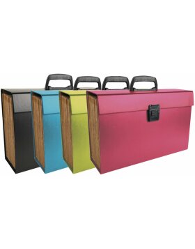 Exacompta document pouch with handle 20 compartments DIN A4 assorted colours
