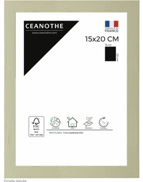 Ceanothe Picture Frame Karma 15x20 cm lime green