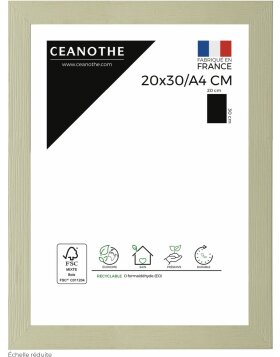 Ceanothe Picture Frame Karma 20x30 cm lime green