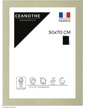 Ceanothe Picture Frame Karma 50x70 cm lime green