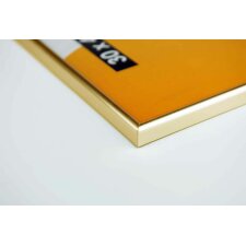 Nielsen Accent Plastic Frame Colorado 40x50 cm gold