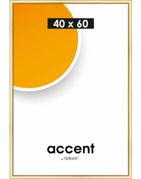 Nielsen Accent Kunststoffrahmen Colorado 40x60 cm gold