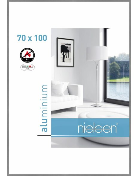 Nielsen Brandschutzrahmen C2 Struktur Grau Matt 70x100 cm