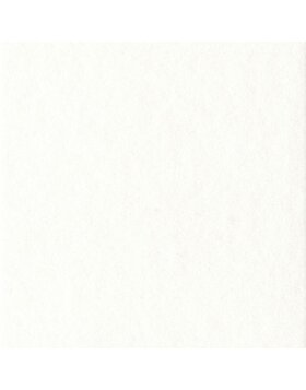 HNFD 10 divisori per scatole fotografiche 15x20 cm - Bianco