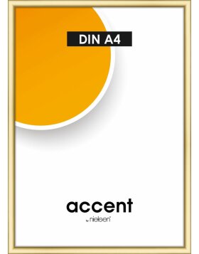 Nielsen Accent plastic frame Colorado 10x15 cm to 70x100 cm