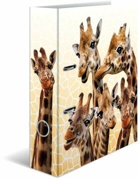 HERMA Motiv-Ordner A4 Exotische Tiere - Giraffenfreunde