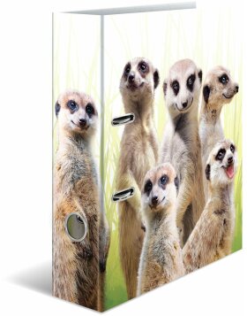 HERMA motif folder A4 Exotic animals - meerkat troop