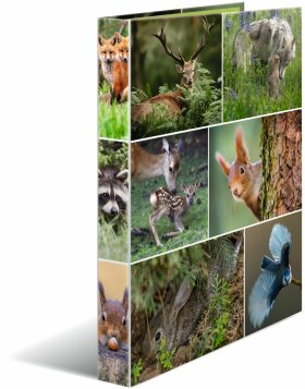 HERMA ring binder A4 cardboard 4D forest animals