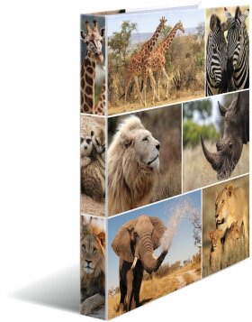 Classeur &agrave; anneaux HERMA A4 carton 2D Afrique animaux