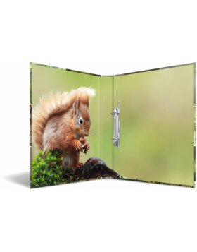 HERMA ring binder A4 cardboard 2D forest animals