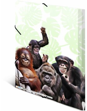 HERMA folder A4 PP - monkey gang