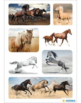 HERMA sticker wild horses 3 sheets/package