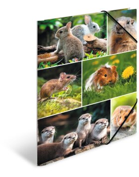 HERMA folder A4 cardboard - rodents