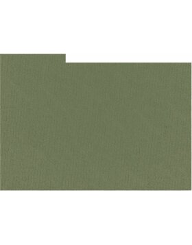 HNFD 20 Photo Box Dividers Verde Muschio for Photo Boxes...