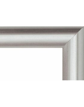 Kunststof lijst trendstyle 15x20 cm - zilver-metallic