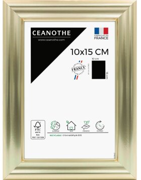 Ceanothe Picture Frame Julia 18x24 cm gold bleached