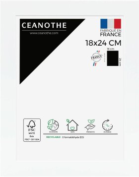 Cornice Ceanothe Eternel 50x70 cm bianco