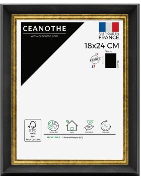 Ceanothe Picture Frame Pandore 24x30 cm black-gold