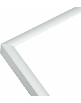 Deknudt Aluminiowa ramka na zdjęcia S027 srebrna 20x30 cm