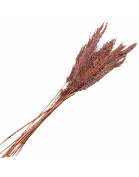 Clayre & Eef 5DF0024 Dried Flowers Bamboo 100 cm (10) Pink