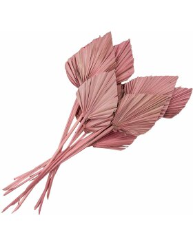 Clayre &amp; Eef 5DF0029 Gedroogde bloemen 55 cm (12) Roze