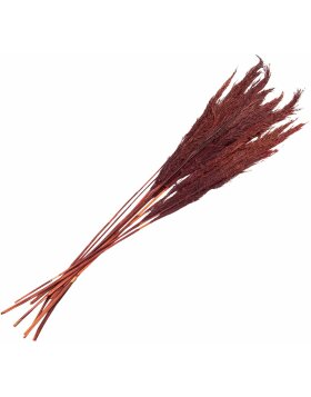 Clayre & Eef 5DF0032 Dried Flowers Bamboo 100 cm (10) Red