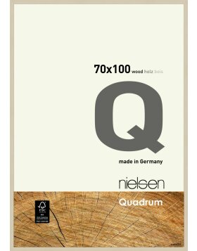 Cornice Nielsen in legno a clip Quadrum 70x100 cm acero