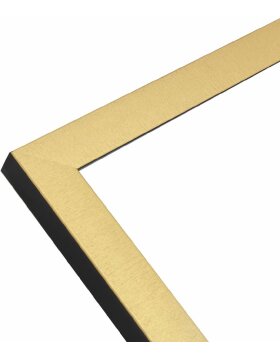 Cornice Deknudt S47EB2 colore oro con bordo nero 30x45 cm