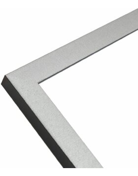 Deknudt S47EE2 picture frame silver colour black edge 20x30 cm