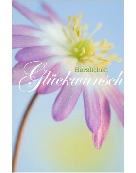 Artebene Karte Folie-Gl&uuml;ckwunsch-Anemone