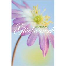 Artebene Karte Folie-Glückwunsch-Anemone