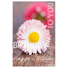 ARTEBENE Card Happy Birthday - Daisy