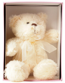 photo box BOBBI with teddy bear - pink