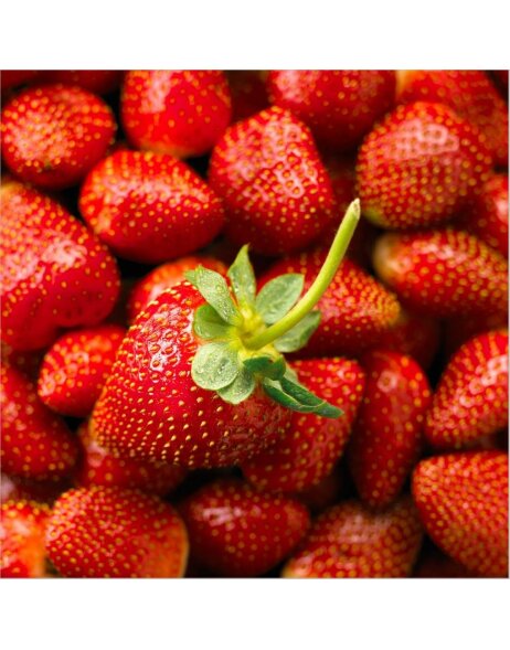 Napkin 33x33 strawberries