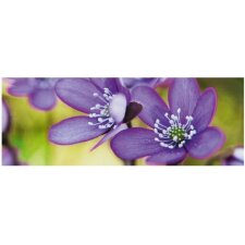 Artebene Card Floral-Purple-21x8 cm