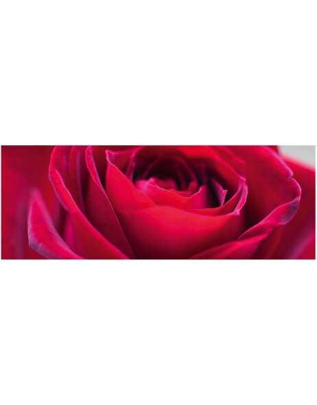 Artebene card Rose - red - 21x8 cm