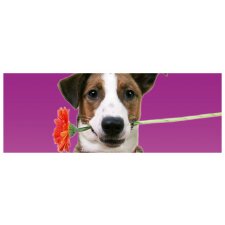 Karta Artebene Pies i kwiat-21x8 cm