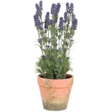 Deco Lavendel in Pot ø 11x53 cm
