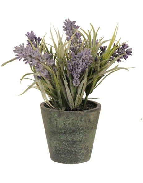 Deco Lavendel in Pot &oslash; 7x15 cm
