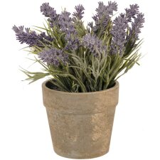 Decoration lavender in the pot Ø 12x26