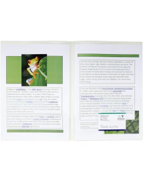 10 Pack presentation folders PP 200?, double-sided with 2...