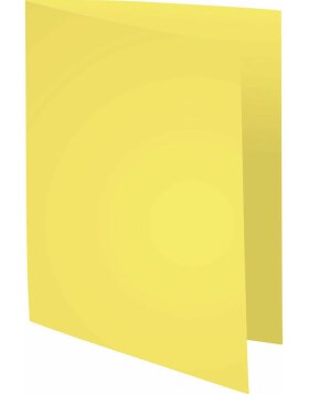 Pack of 100 file folders made from recycled cardboard 250g Foldyne Forever, for A4 canary