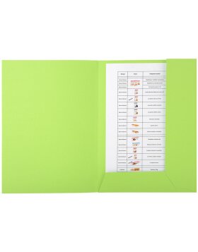 Briefcase with label field Forever&reg;, 24x32cm green