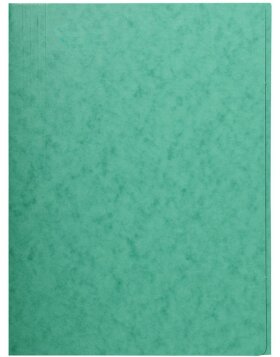 Binder green with 3 flaps A4