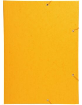 Cartella in cartoncino Manila 600g, per formato DIN A3 colori assortiti
