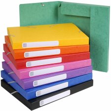 Caja de archivo Cartobox lomo plano suministrado cartón Manila 25mm Nature Future, DIN A4 colores surtidos