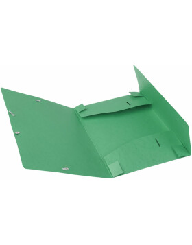 Scatola darchivio Cartobox piatta con dorso in cartone Manila da 25 mm Nature Future, DIN A4 Verde